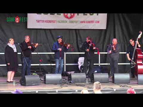 Gobefest 2022 - Barozda | Folk Music Performance