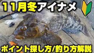 【冬アイナメ釣りたい方】スポーニングアイナメはどこで釣れる？冬アイナメ初期のポイント・釣り方解説