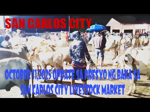 October 11, 2025 Update sa Presyo ng Baka sa San Carlos City Livestock Market #livestockmarket