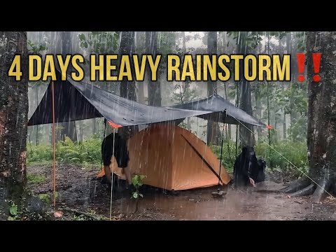 4 Days Heavy Rain‼️Camping in Long Heavy Rain, Flood and Rainstorm in 4 days‼️