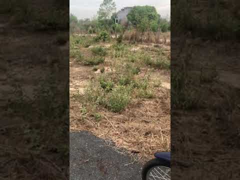 Bán Lô Đất Biển Hồ Tràm Ngay Mặt Tiền Đường 328 , Giá 3,6tr/m2 Sổ Sẵn 100 Thổ Cư