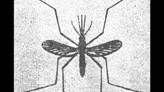 Factums - De-Arranged