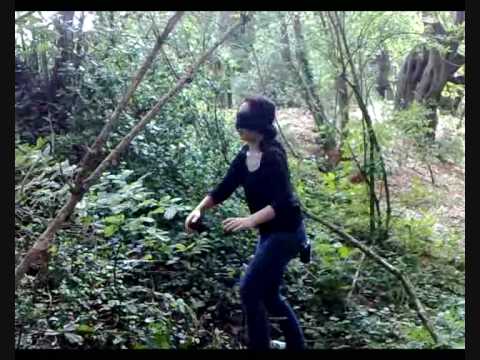 Ein philosophisches Projekt zur Erkenntnistheorie (2)