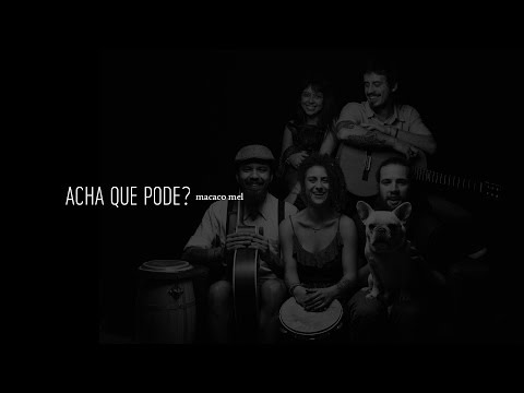 HAI STUDIO / Acha que pode? - Macaco Mel