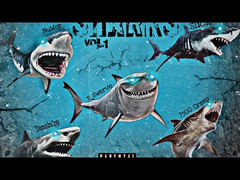 B Swervø X 7500Creep - Fr