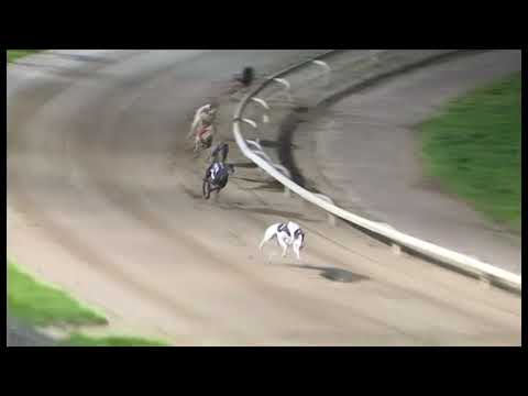 Antigua Fire winning the Ladbrokes.com 835 @ Monmore 29/08/20