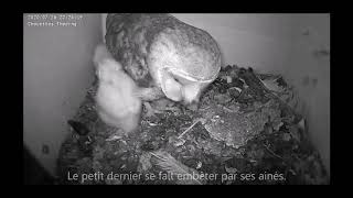 Difficile d'être le dernier !