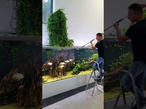 Super "Gripper" for big tanks