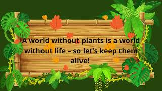Exploring the World of Plants