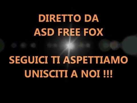 Sala Consilina : Volley Campionato Under 12 misto a Contursi