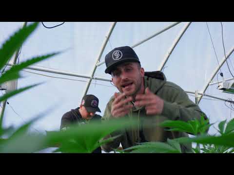 Swaggertown Records and 2 more