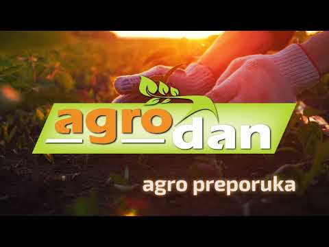 AGRO PREPORUKA - Sušno leto i topla jesen doprineli i pojavi glodara