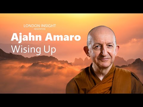 Ajahn Amaro – Wising Up