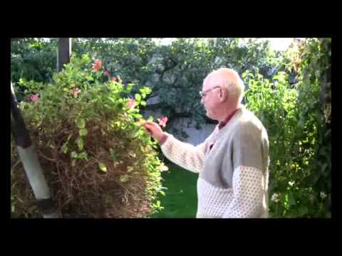 Han är svensk mästare i snapsvisor