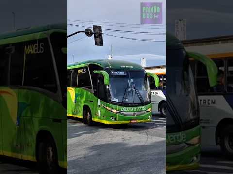 BELO HORIZONTE x RAUL SOARES: PÁSSARO VERDE 19159 #joaomineiroemarciano #sertanejo #músicaraiz