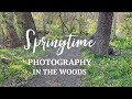 Springtime Photography in a Texas Woodland | DSLR & Mobile Phone MACRO