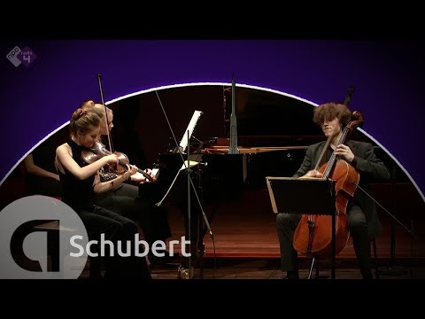 Schubert: Piano Trio No. 1 - Noa Wildschut, Alexander Warenberg & Elisabeth Brauss - HD