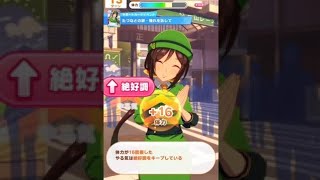 【ウマ娘】怪我しない程度にたづなさんについていった結果【ネタ動画】