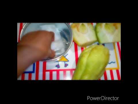 Organic gardening tips.How to grow chayote squash vines .😘😀