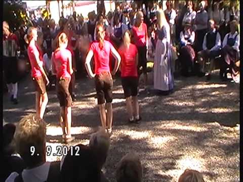 VTS_02_1.VOB Hagenau