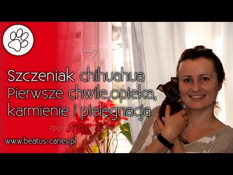 Recepty kokosowe do masek do włosów Sylwetka z włosami
