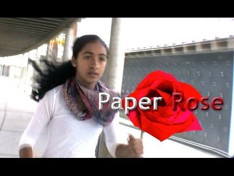 download lagu mp3 mp4 Paper Rose, download lagu Paper Rose gratis, unduh video klip Paper Rose