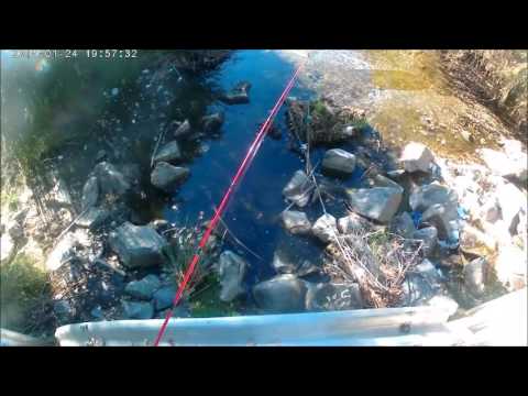download lagu mp3 mp4 Fishing Spots In San Diego, download lagu Fishing Spots In San Diego gratis, unduh video klip Fishing Spots In San Diego