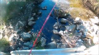 MY FISHING SPOTS SAN DIEGO