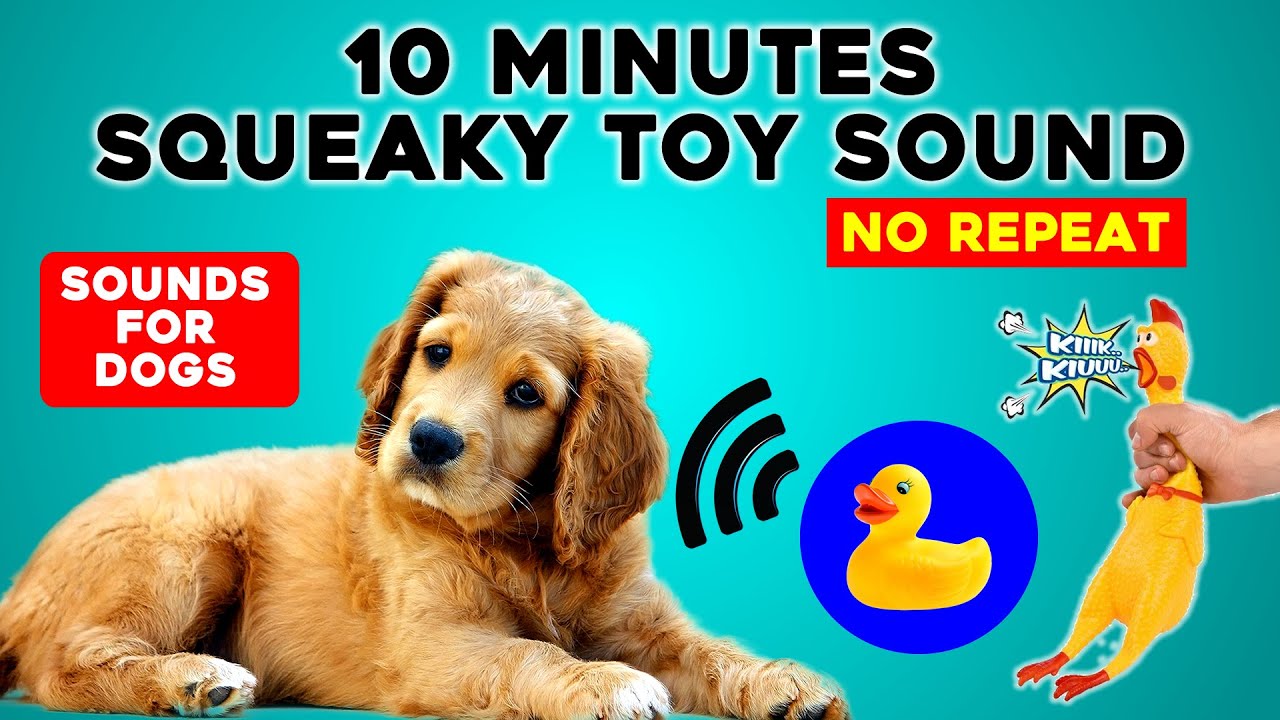 Dog Toy Squeaky Toy Sound ( 10 Minutes No REPEAT )