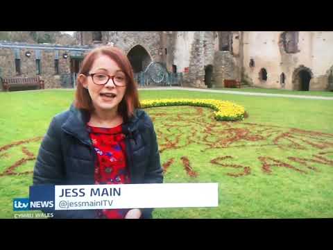 ITV Wales 1/3/2019 Daffodil St Davids Day ART! Nathan Wyburn