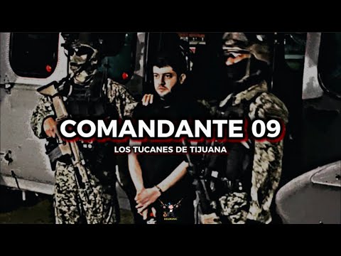 COMANDANTE 09- Los Tucanes De Tijuana 2023