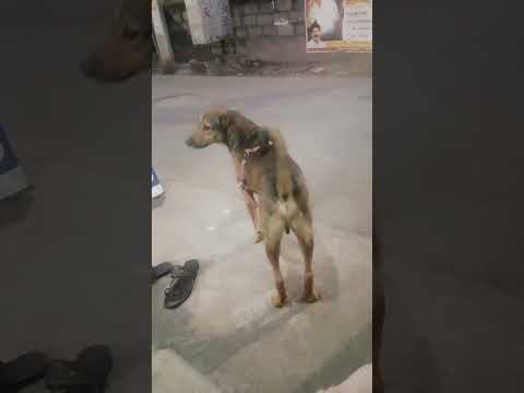 enga Shop-ku vantha azhaiya virunthali//#shorts)/#trending //#naseema