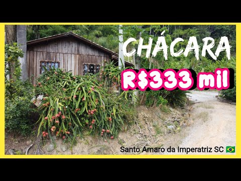 Chácara em Santo Amaro da Imperatriz - 1 hectare - Muitas Frutíferas e Água 