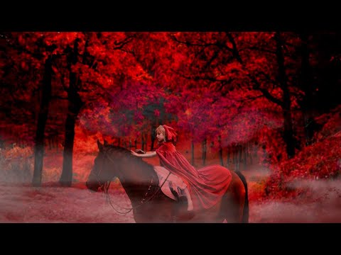 1 HOUR of AMAZING HORSES From Around the World | Relax Music | Meditation | Stress Relief | Calm