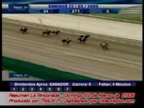 Resumen de Carreras Domingo 22 de Marzo 2009 La Rinconada