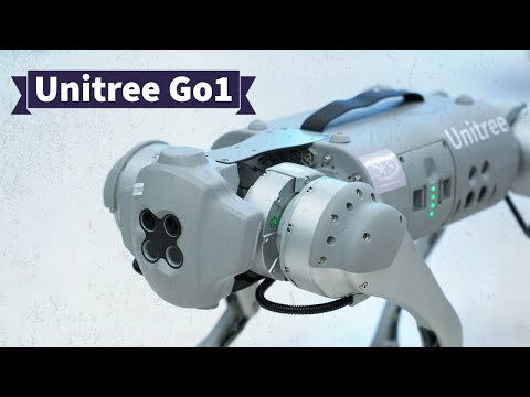 Unitree Go1 Review Video 3