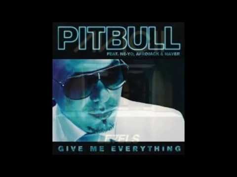 Pitbull VS Levels Remix