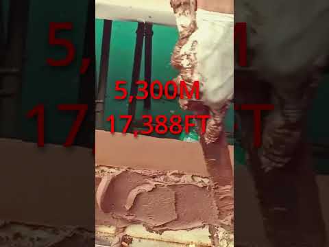 This CAKE Holds The WORLD RECORD!