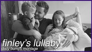 Finley&#39;s Lullaby ★ Daily Bumps