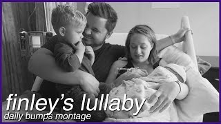 Finley's Lullaby ★ Daily Bumps