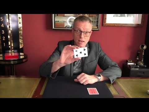 Shinkansen from Merlins of Wakefield