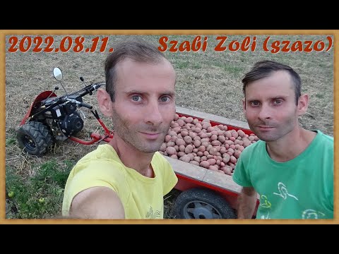 , title : 'Balatoni rózsa burgonya bőséges termés! Szabi Zoli (szazo) You Tube'