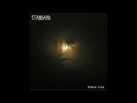 Standard - 06  Bitume