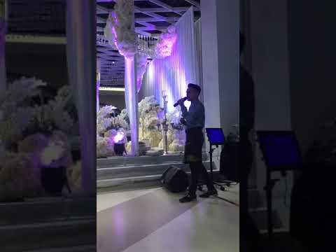 bertakhta di hati farahdhiya cover by farid fuad