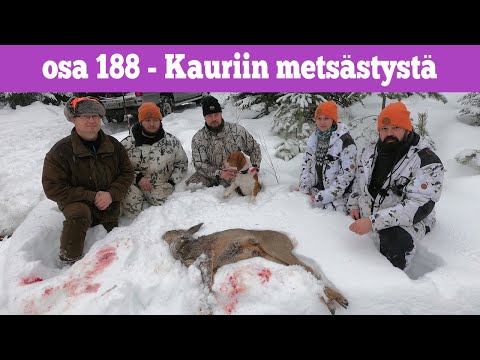 Osa 188 - Kauriinmetsästäjät - 2021/2022