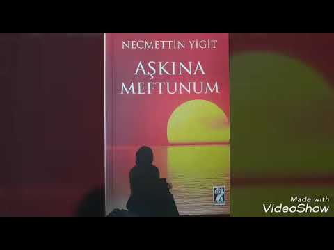 Seviyorum Seni (Necmettin YİĞİT)