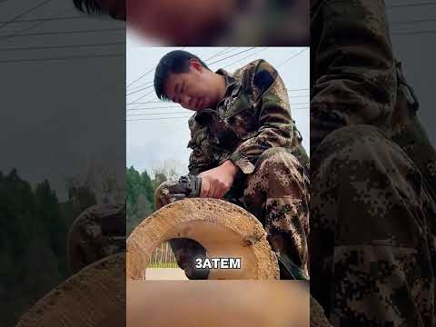 Мужик годами зарабатывает на БЕСПЛАТНЫХ ПЧЕЛАХ🤫🔥😏