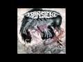 Transient S T 2013 Full Album Grindcore
