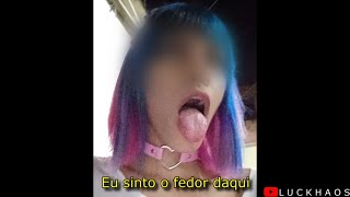 Cover art for Garota tu parece um dromedário usando uma peruca colorida cala boca