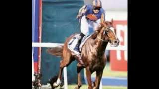 Daddy Long Legs I Am A Dreamer Take Me Higher